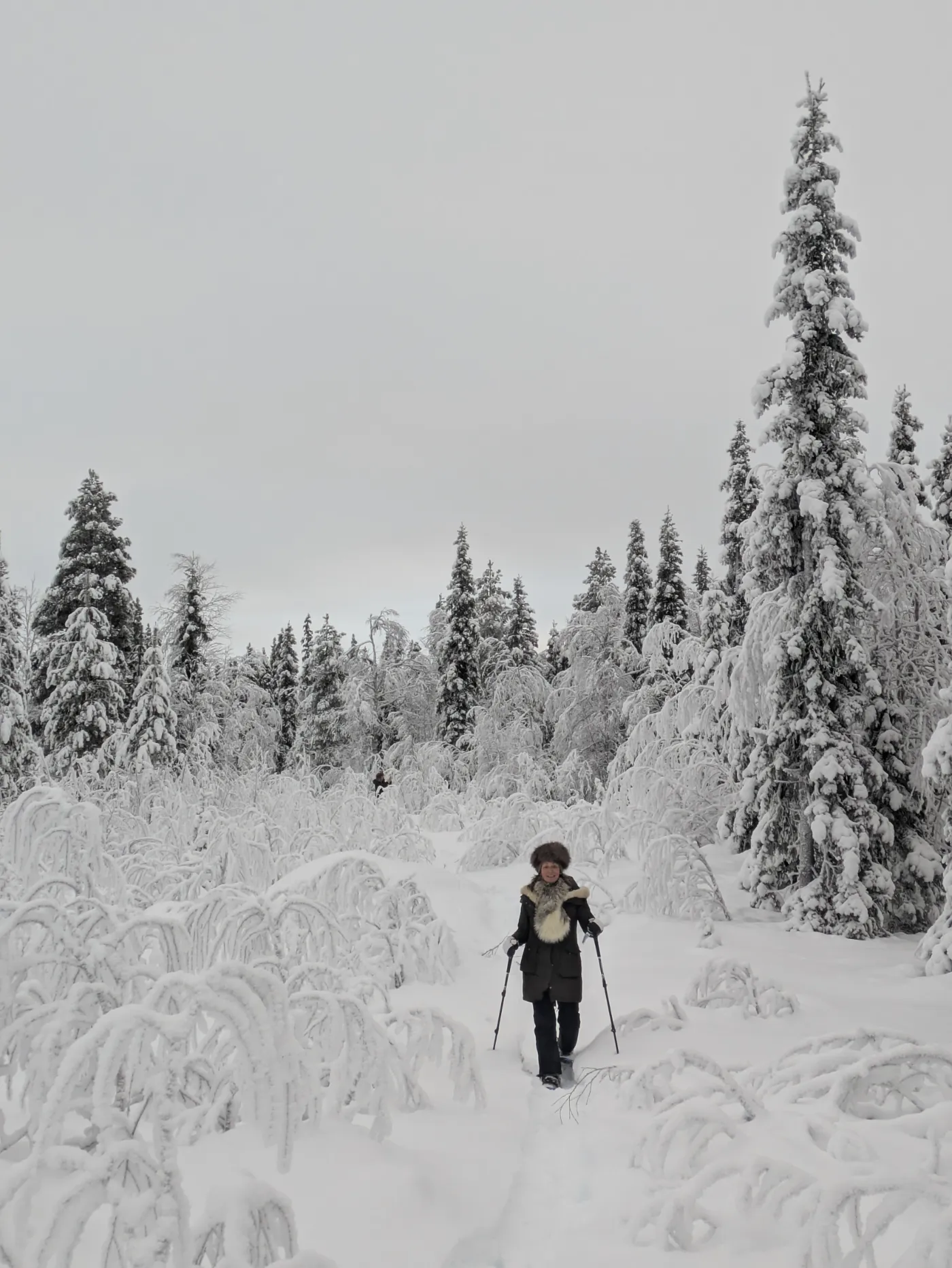 Snowshoeing