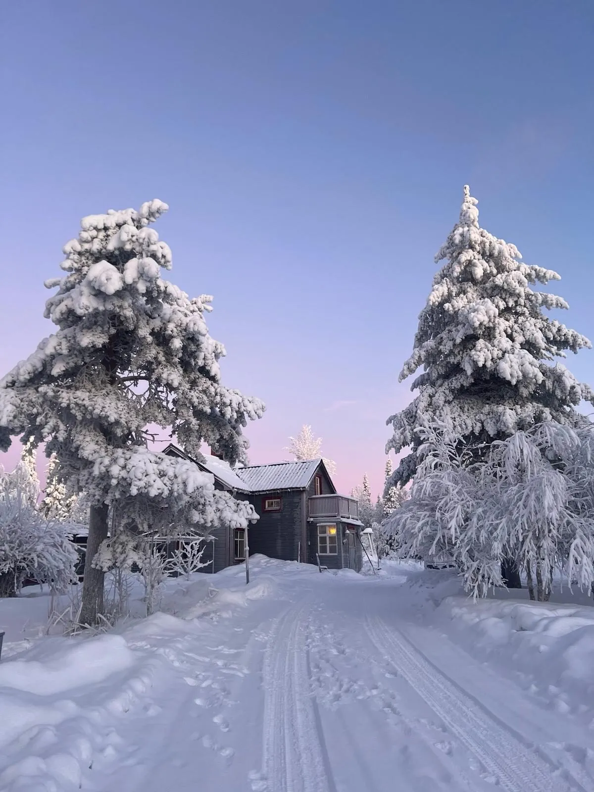 The house under snow